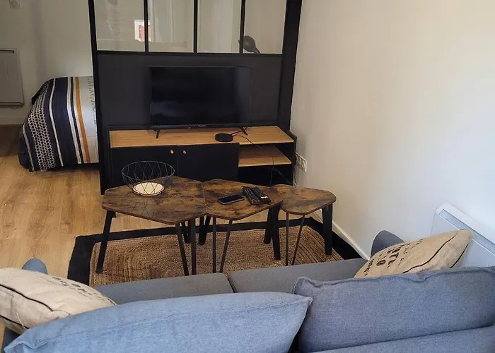 Studio Cosy Saint-Etienne Centre Ville