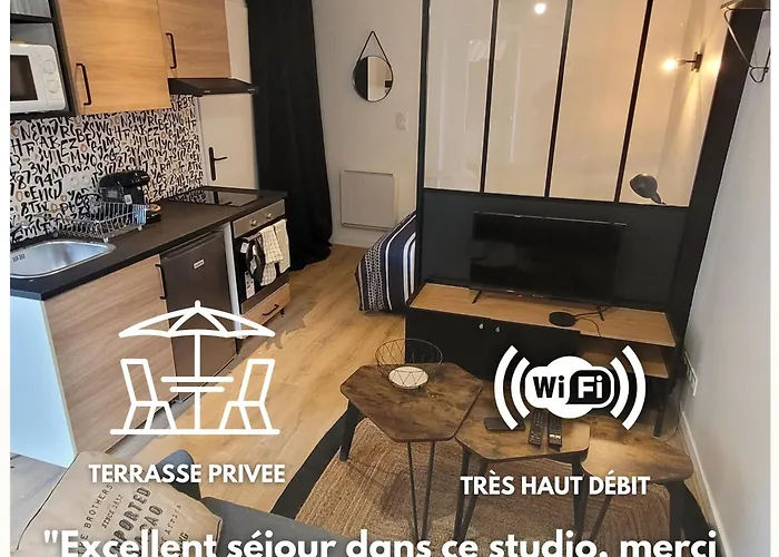 Studio Cosy Saint-Etienne Centre Ville