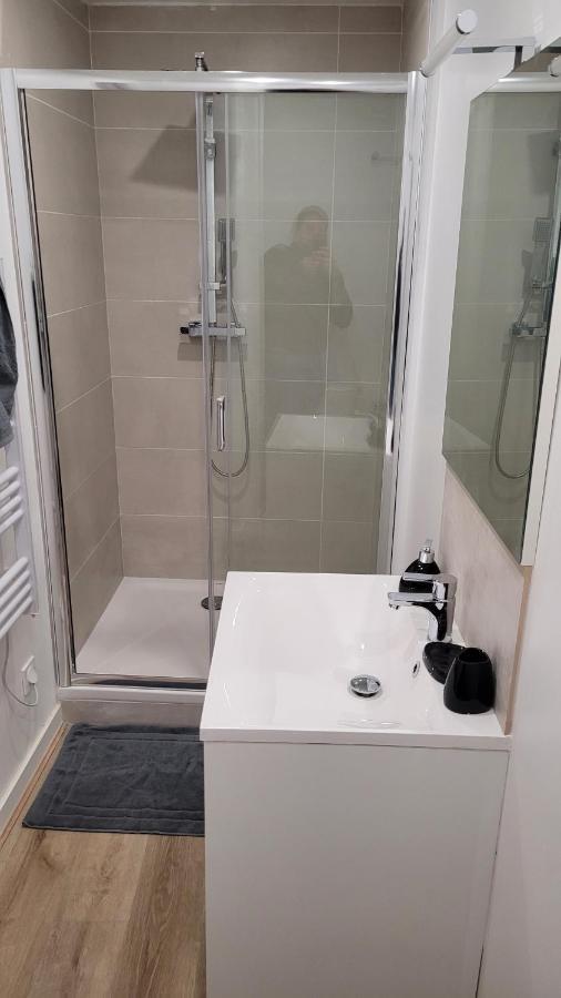 Appartement Cosy Saint-etienne Centre Saint-Etienne (Loire)