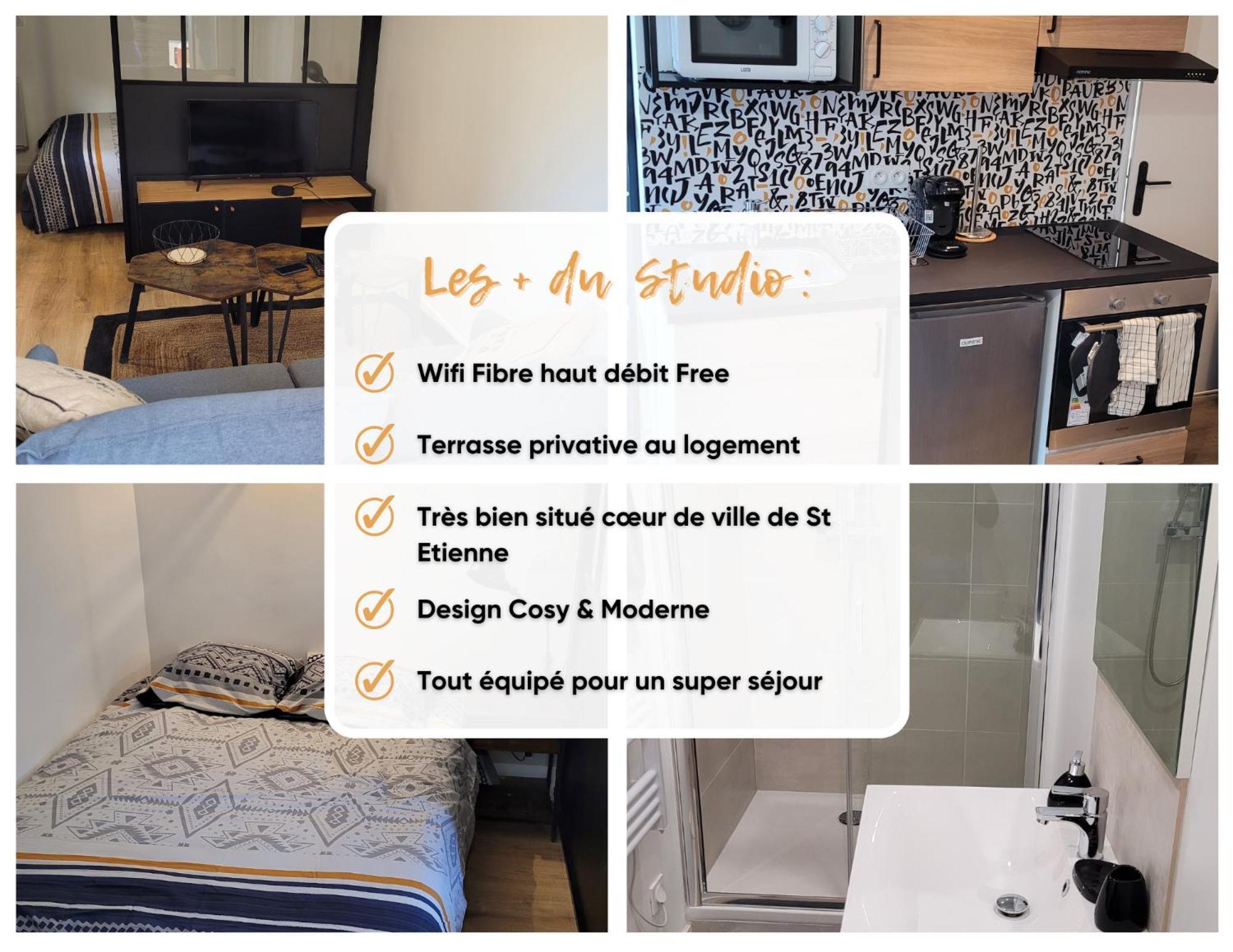 Cosy Saint-etienne Centre Appartement Saint-Etienne (Loire)